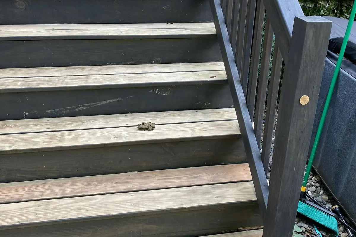 The same deck stairs before: worn gray boards and faded rail